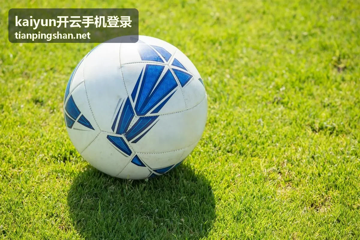 kaiyun开云手机登录新设备首次登录场景