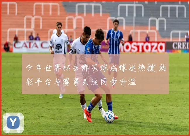 今年世界杯去哪买球成球迷热搜 购彩平台与赛事关注同步升温