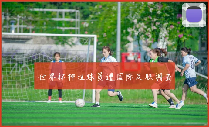 世界杯押注球员遭国际足联调查