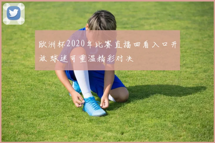 欧洲杯2020年比赛直播回看入口开放 球迷可重温精彩对决