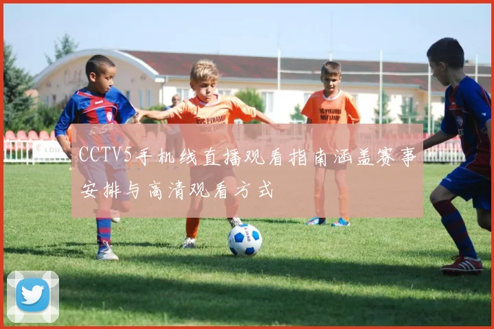 CCTV5手机线直播观看指南涵盖赛事安排与高清观看方式